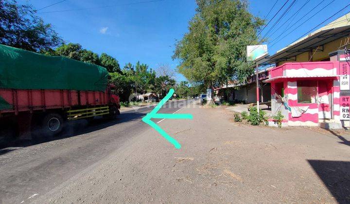 Termurah Tanah Nol Jalan Raya Propinsi Situbondo Banyuputih Jawa Timur 4