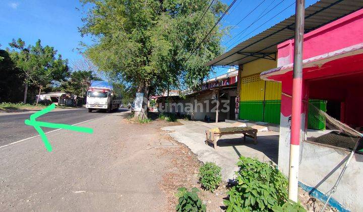 Termurah Tanah Nol Jalan Raya Propinsi Situbondo Banyuputih Jawa Timur 5