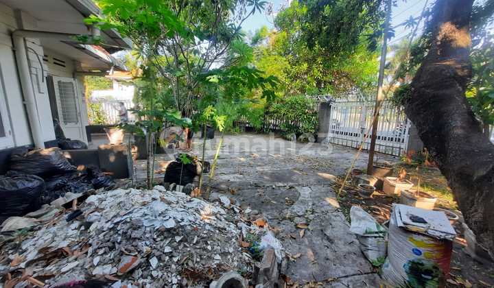 Rumah Usaha Termurah Jalan Raya Ambengan Komersial Area 11 Juta 2