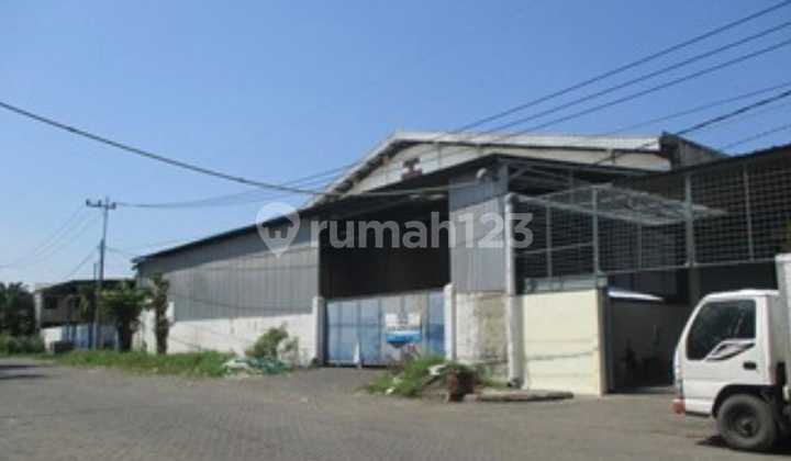 Cheap Warehouse Under Pasar Bumi Maspion Romokalisari Benowo Cheap Warehouse Under Pasar Bumi Maspion Romokalisari Benowo