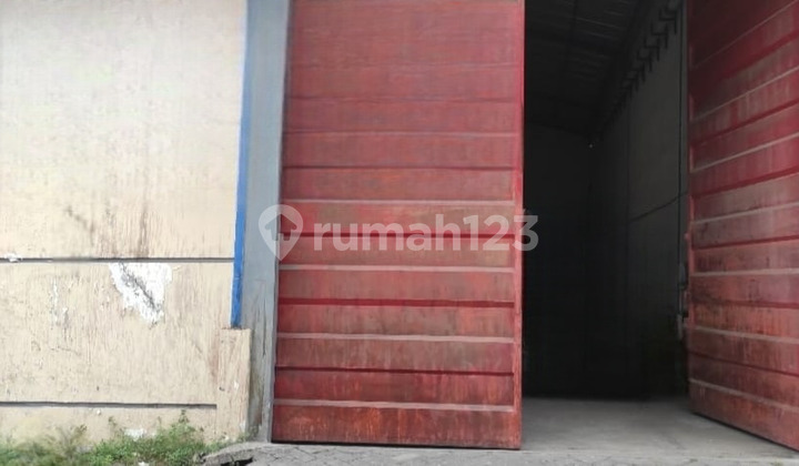 Gudang Murah Golden Tambak Sawah Waru Sidoarjo