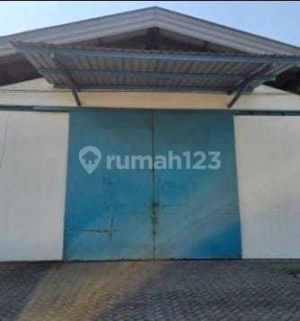 Gudang Murah Margomulyo Permai Dekat Suri Mulia Angtropolis Gudang Murah Margomulyo Permai Dekat Suri Mulia Angtropolis