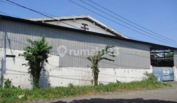 Cheap Warehouse Under Pasar Bumi Maspion Romokalisari Benowo Cheap Warehouse Under Pasar Bumi Maspion Romokalisari Benowo