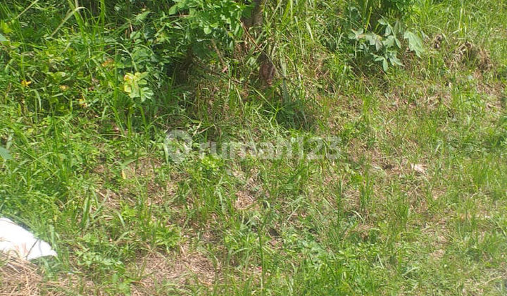 Land for Sale on Jl. H. Naim, Cipete Utara Subdistrict, Kebayoran Baru District, South Jakarta.