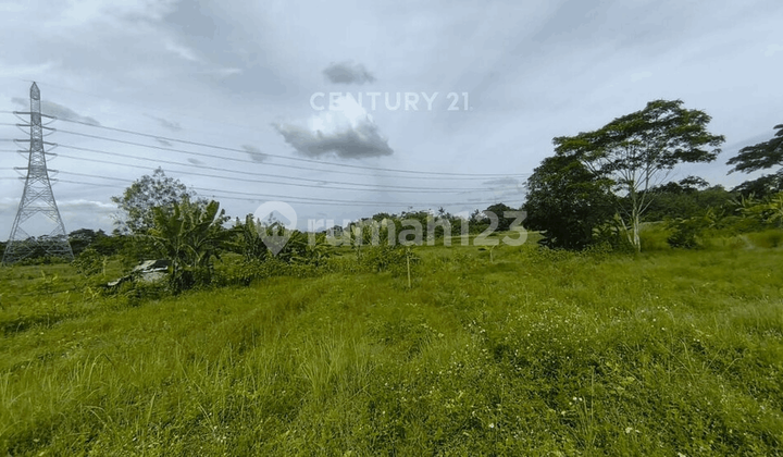 Dijual Tanah Sawah Di KP Kopo Jalan Raya Saga Bunar Balaraja Dijual Tanah Sawah Di KP Kopo Jalan Raya Saga Bunar Balaraja
