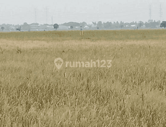 Tanah Lokasi Pinggir Jalan Strategis Di Sukatenang Babelan Bekasi 2