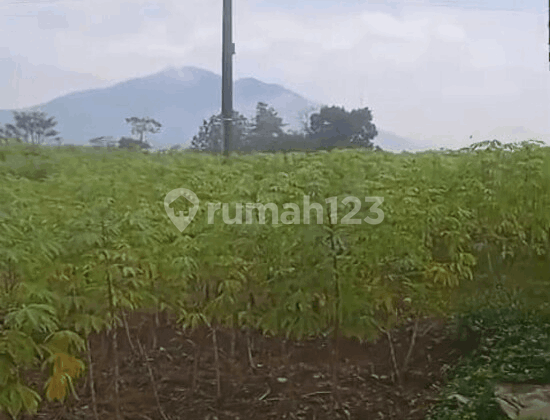 Dijual Tanah Luas 2 Hektar Di Parakansalak Sukabumi Jawa Barat Dijual Tanah Luas 2 Hektar Di Parakansalak Sukabumi Jawa Barat