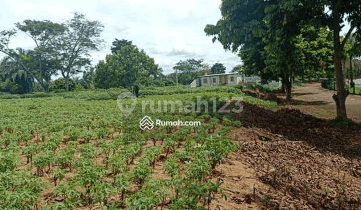Tanah Kavling Di Perumahan Telaga Kahuripan Lembah Padi Selatan
