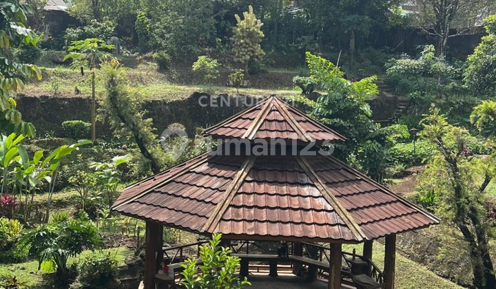 Dijual Rumah Atau Villa Luas 3624m2 SHM Di Puncak Bogor Cisarua