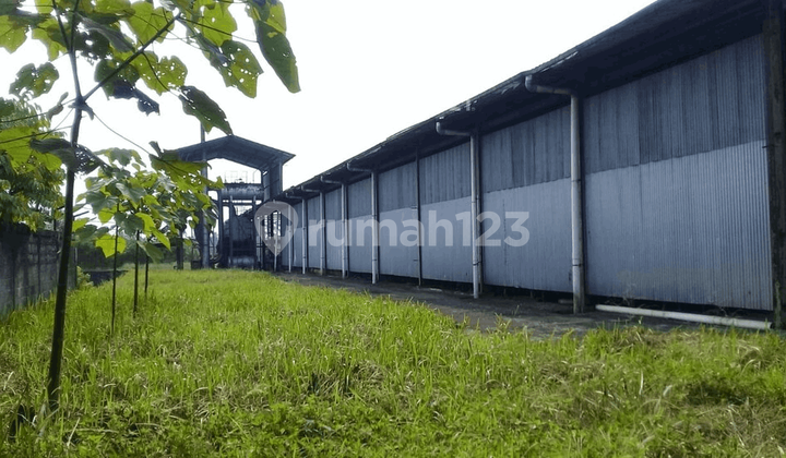 For Sale Cheap Large Factory Land in Sukabumi, West Java For Sale Cheap Large Factory Land in Sukabumi, West Java