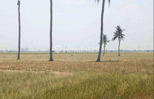 Dijual Tanah Lokasi Pinggir Jalan Strategis Di Sukatenang Babelan 1