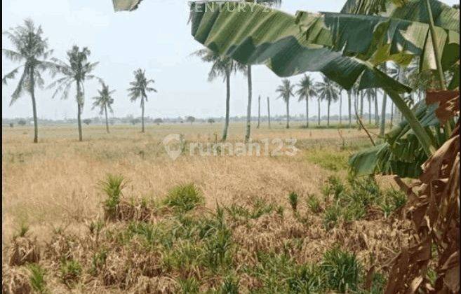 Dijual Tanah Lokasi Pinggir Jalan Strategis Di Sukatenang Babelan 2