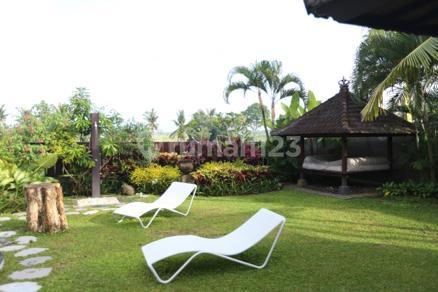 Villa Murah 925m2 Di Tumbak Bayuh, Bali