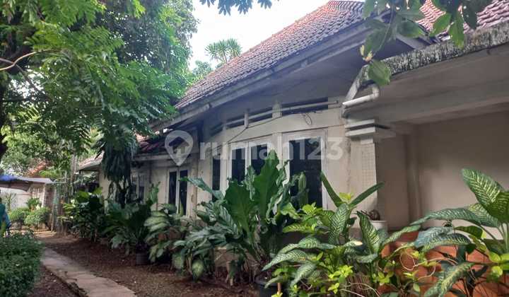 Tanah di Menteng SHM 870.0 m²