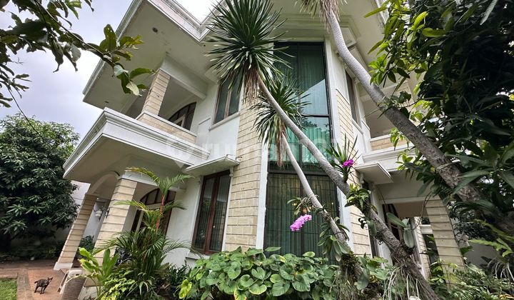 Rumah Area Komersial Di Jl Sungai Sambas - Kebayoran Baru - Jakarta Selatan 1