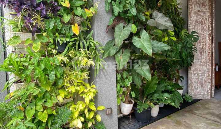 Rumah di Pulomas Kayu Putih Rawamangun Aestetic 2