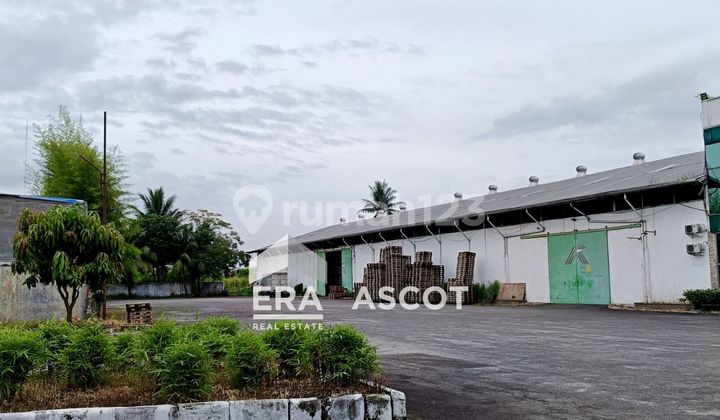 Gudang Siap Pakai Cuma 3,4 Km Ke Pintu Tol Jl. Kapten Sumarsono 2