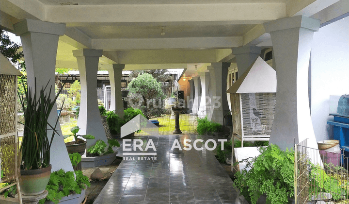 Disewakan Rumah Lokasi Prime Inti Kota Jalan Urip, Medan Polonia 3