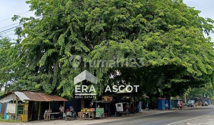 Tanah Murah 7.500 M2 Jalan Protokol Perbaungan, Serdang Bedagai