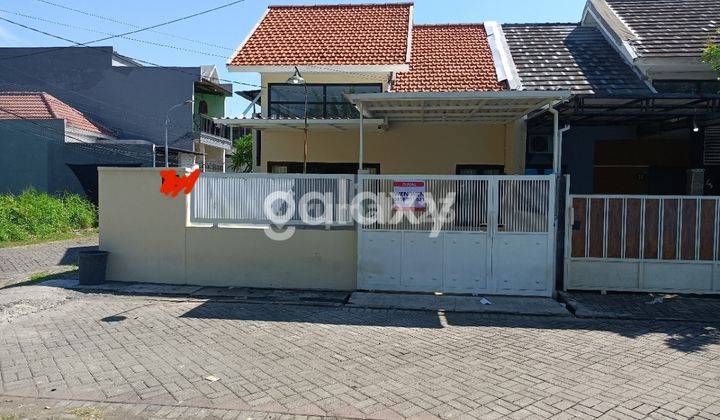 Revisi Harga Rumah Medokan Sawah Surabaya 1 Lantai Hook 1