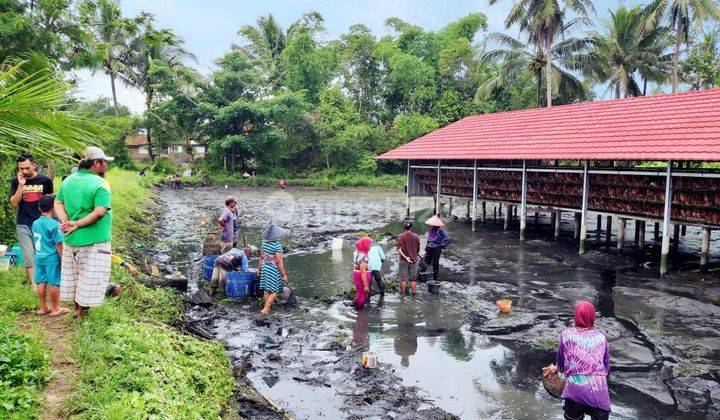 BU , akan melunasi Hutang, di Cisinga sukaratu Tasik SHM 2