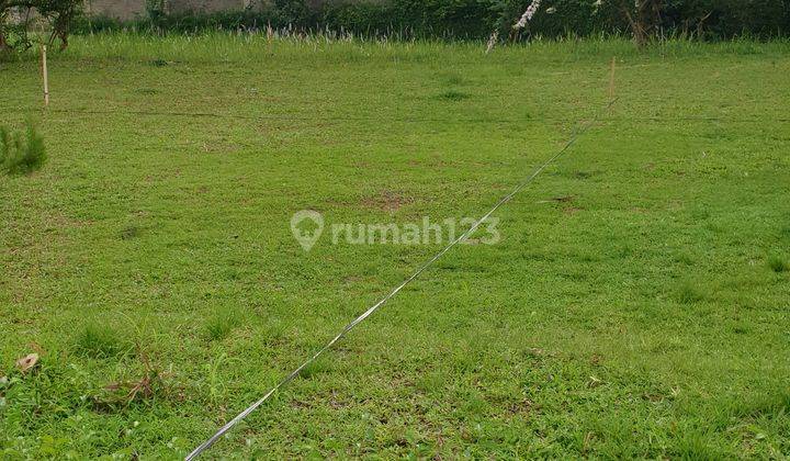 TANAH MATANG COCOK UNTUK PERUMAHAN DEKAT TOL DAN LRT CIBUBUR JAKARTA TIMUR 2