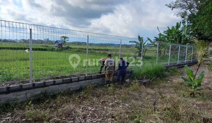 For Rent Land Near Bali Swing Ubud Bali