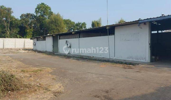 Ex Pabrik Furniture Lokasi di Jalan Raya Utama Pantura Tegal Jawa Tengah 2