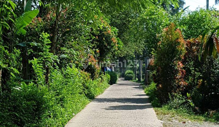 Tanah Luas 2270m2 Dekat Pesantren Az Zikra Yusuf Mansur 30 Menit Dari Tol Bsd 2