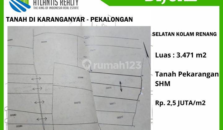 Dijual Tanah Kebun Sudah Ada Pohon Sengon, Panen 2 Tahun Lagi 2