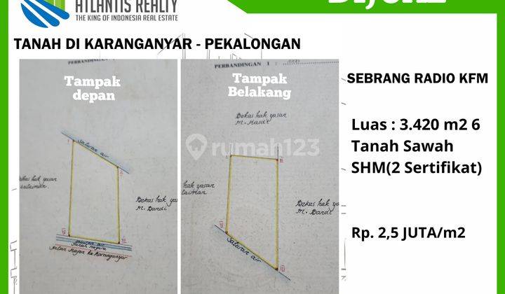 Dijual Tanah Kebun Sudah Ada Pohon Sengon, Panen 2 Tahun Lagi 1