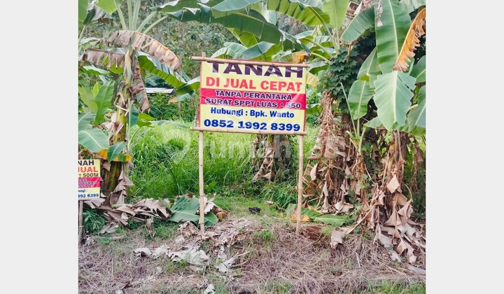 Expansive Land with a Super Strategic Location in Pulo Merak, Banten