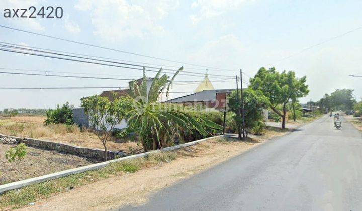 Jual Tanah Nol Jalan Bisa Buat Usaha Balongpanggang Gresik 1