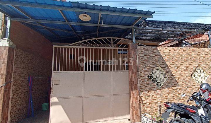 Rumah Bagus Dijual di Jalan Erlangga Purworejo Pasuruan Gmk01516 1