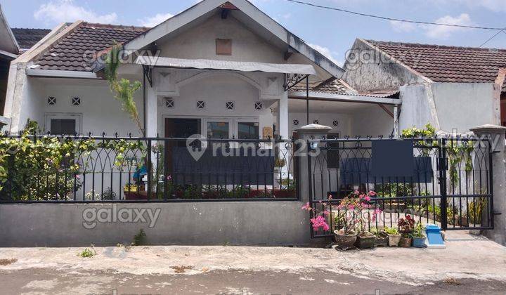 Rumah Bagus Harga Terjangkau di Sulfat Blimbing Malang Gmk03119 1