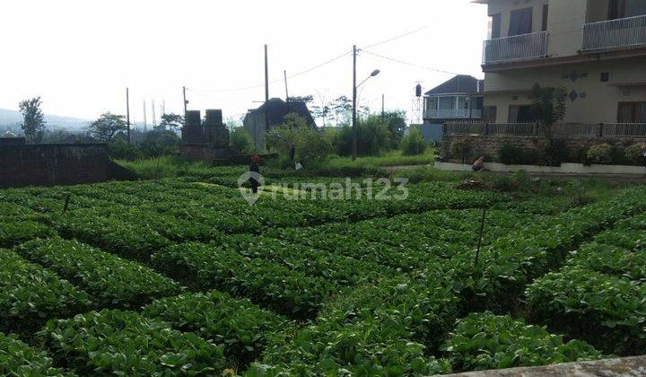 Tanah Strategis di Tengah Kota Batu Gmk02200 2