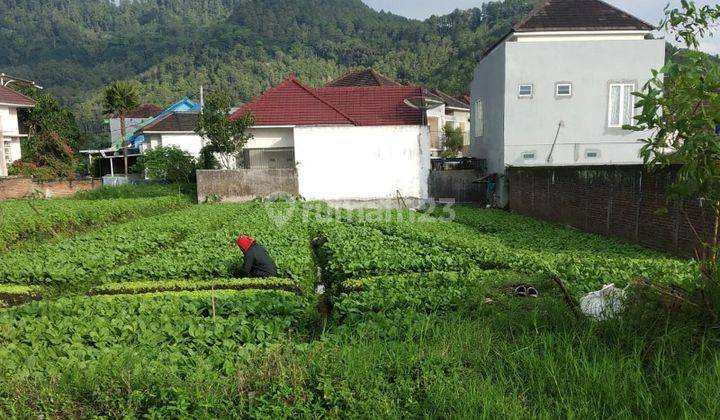 Tanah Strategis di Tengah Kota Batu Gmk02200 1