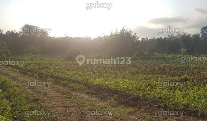 Tanah Strategis Daerah Randuagung Singosari Malang Gmk03032 2