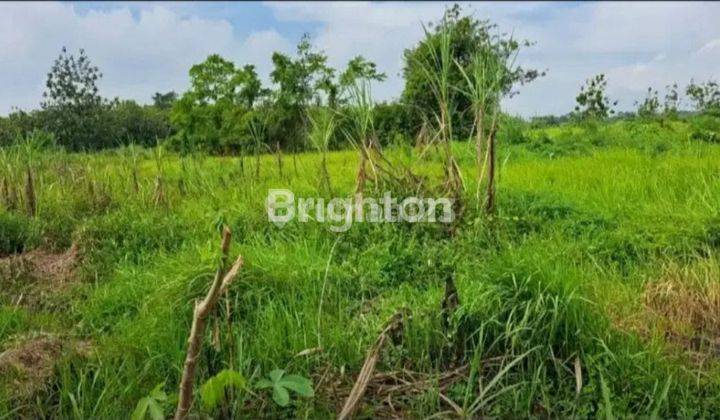 Tanah kavling lokasi ciamik sudah SHM di Pasuruan 2