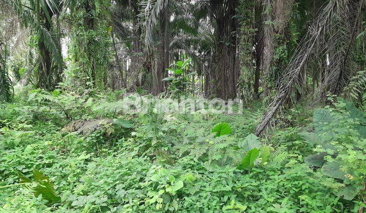 Tanah Pertapakan Dekan T Garden Pancur Batu 1