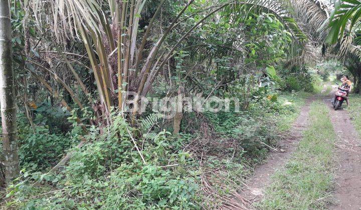 Tanah Pertapakan Dekan T Garden Pancur Batu 2