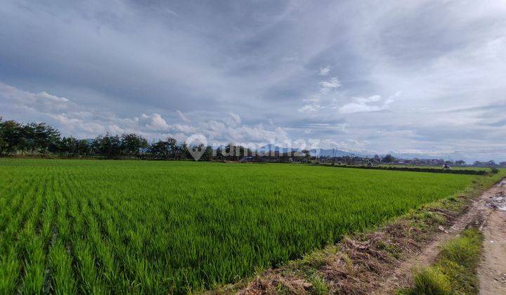  For Sale Tanah Sapan Gedebage Bandung SHM 1