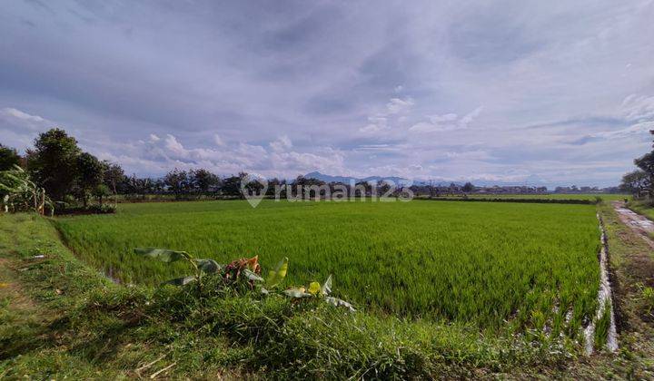  For Sale Tanah Sapan Gedebage Bandung SHM 6