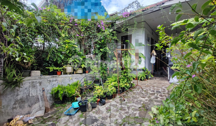 Rumah Tua Hitung Tanah di Cigadung Mainroad Rumah Tua Hitung Tanah di Cigadung Mainroad