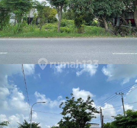 Tanah Kavling Raya Morowudi Gresik Cocok Dibangun Perumahan Tanah Kavling Raya Morowudi Gresik Cocok Dibangun Perumahan