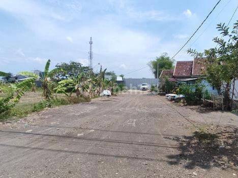 Tanah Gudang 3,6 Hektar Murah Di 0 Raya Gunung Gangsir Pasuruan 2