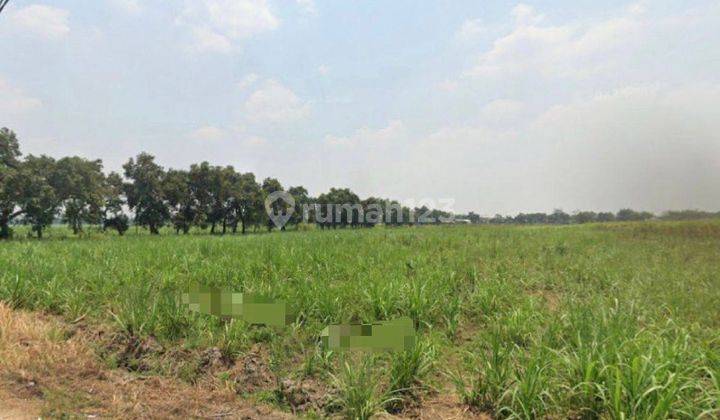 TANAH KAVLING 1,7 HEKTAR MURAH BALONGBENDO BYPASS KRIAN SIDOARJO  1