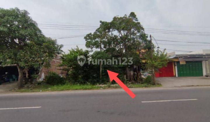 Tanah Luas Dan Murah Lokasi Strategis Morowudi Cerme, Gresik  1