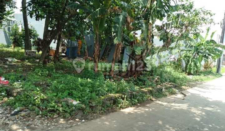 Hook Land in Kukusan Village, Depok Hook Land in Kukusan Village, Depok