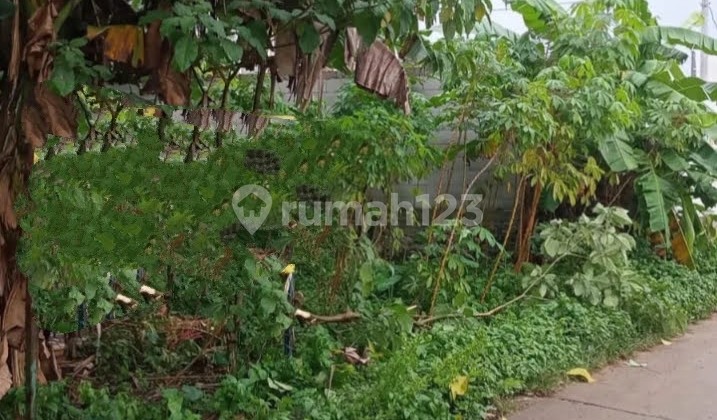 Hook Land in Kukusan Village, Depok Hook Land in Kukusan Village, Depok